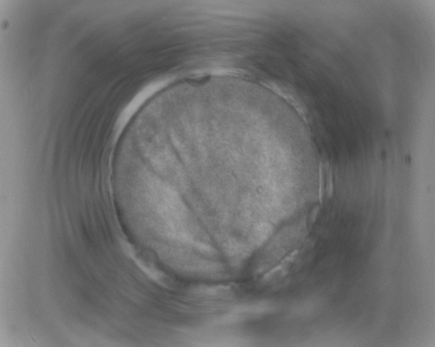 X0000082730147200702232356