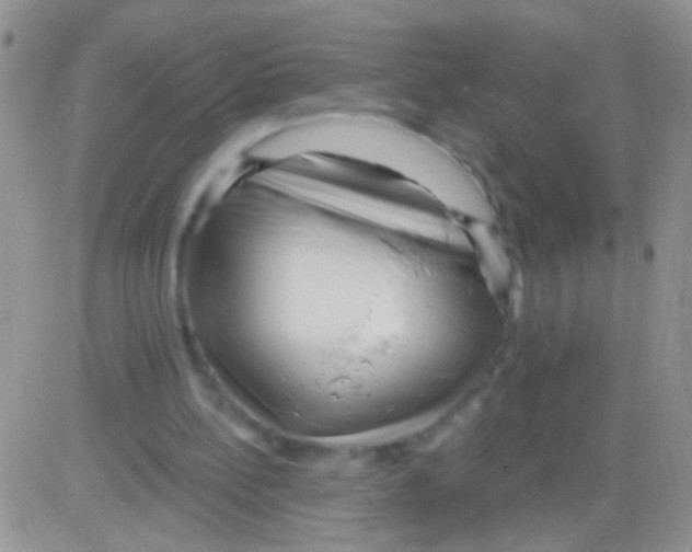 X0000082730148200702232356