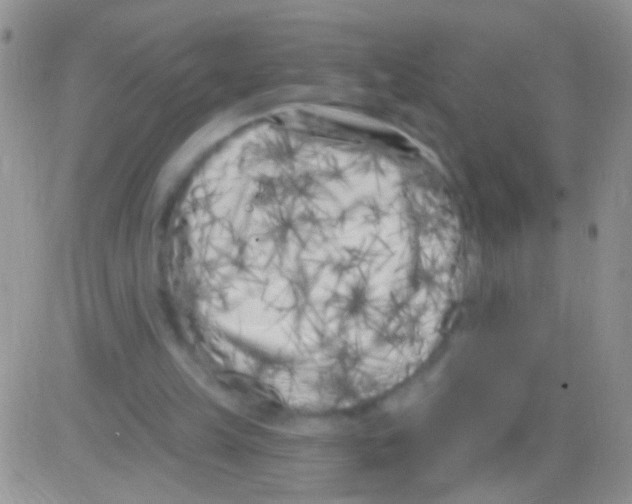 X0000082730149200702232356