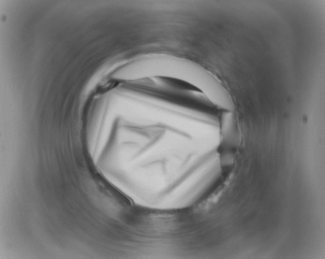 X0000082730150200702232356