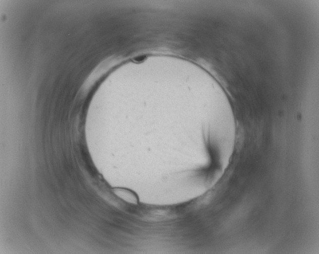 X0000082730151200702232356