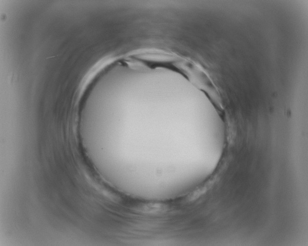 X0000082730152200702232356