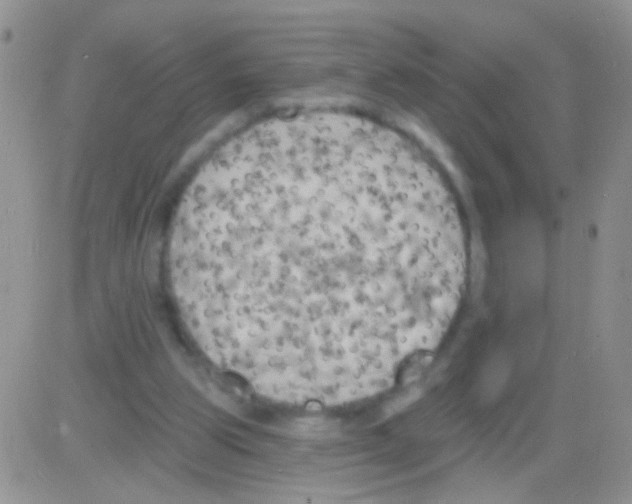 X0000082730153200702232356