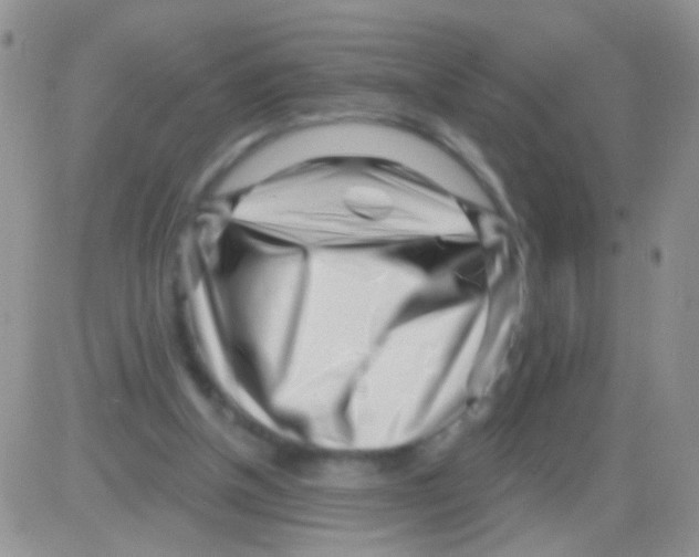 X0000082730154200702232356