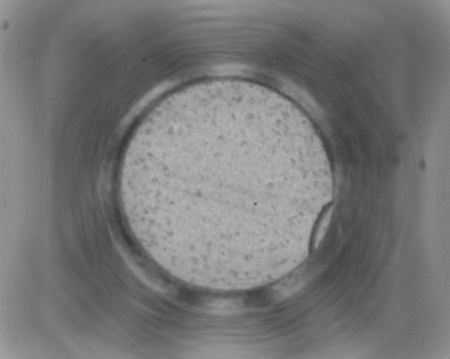 X0000082730155200702232356