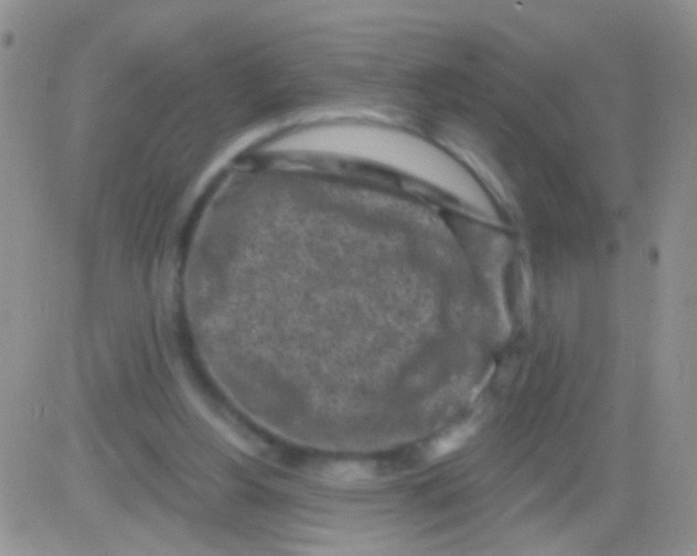 X0000082730156200702232356