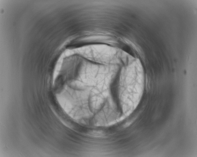 X0000082730157200702232356