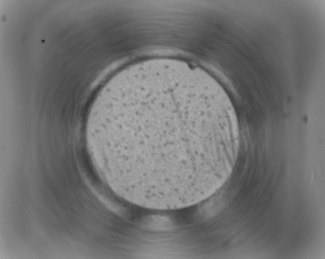 X0000082730159200702232356