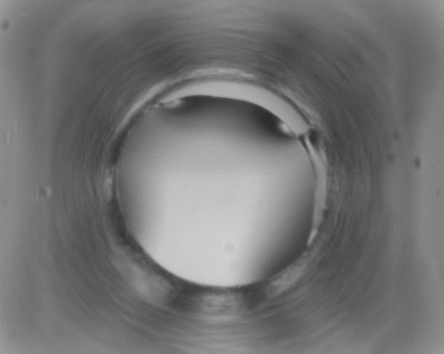 X0000082730160200702232356