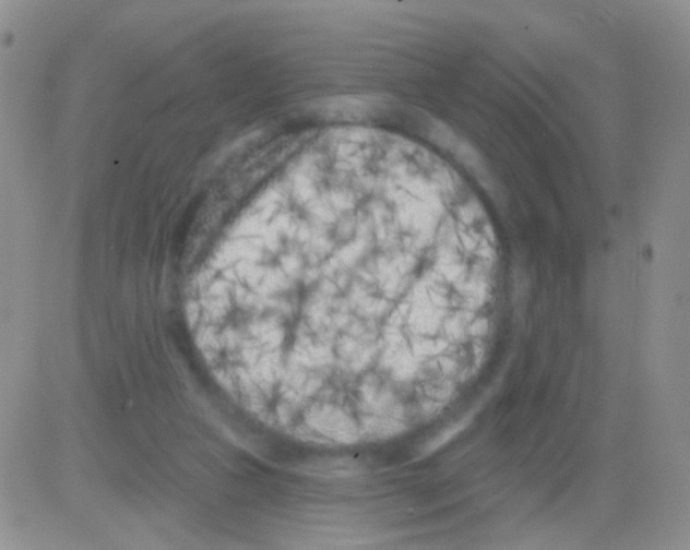 X0000082730161200702232356