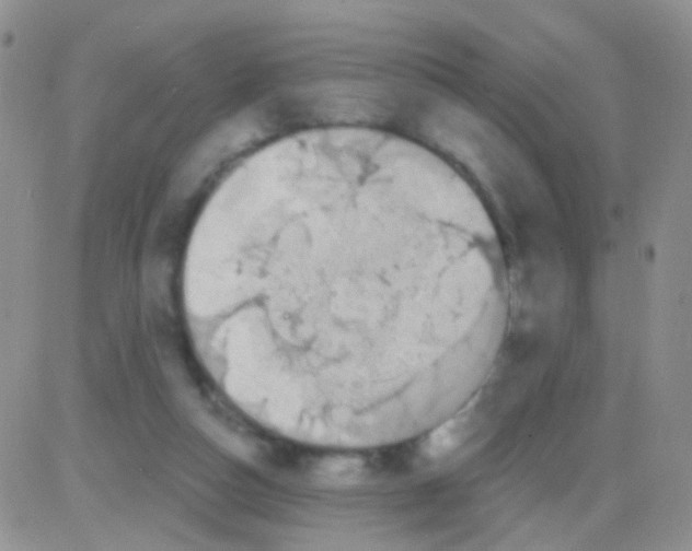 X0000082730162200702232356