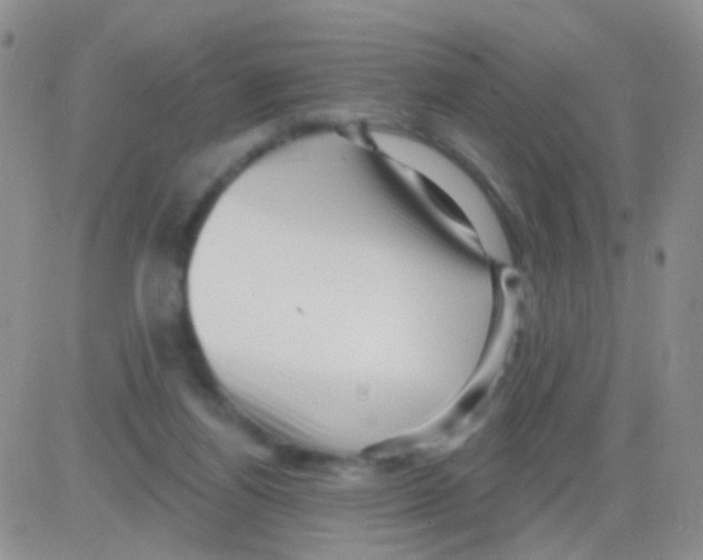 X0000082730164200702232356