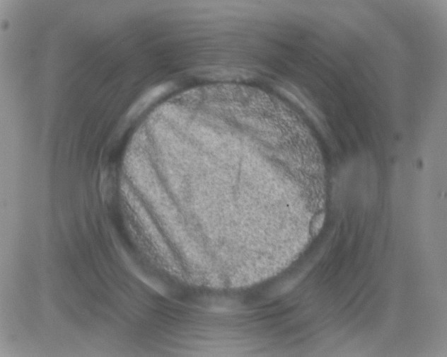 X0000082730165200702232356