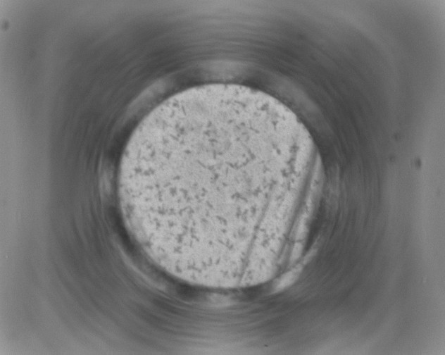 X0000082730166200702232356