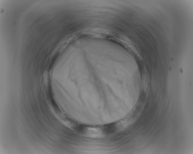 X0000082730167200702232356