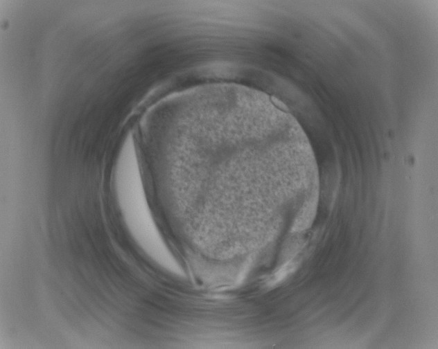 X0000082730168200702232356