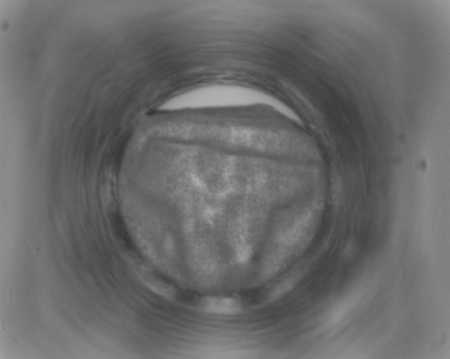 X0000082730169200702232356