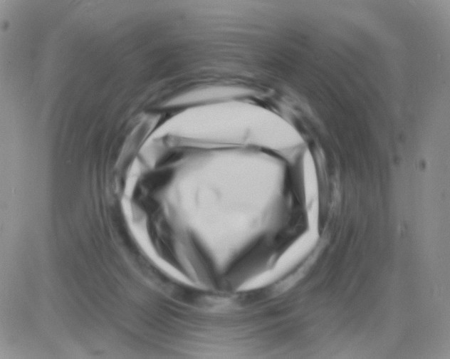 X0000082730170200702232356