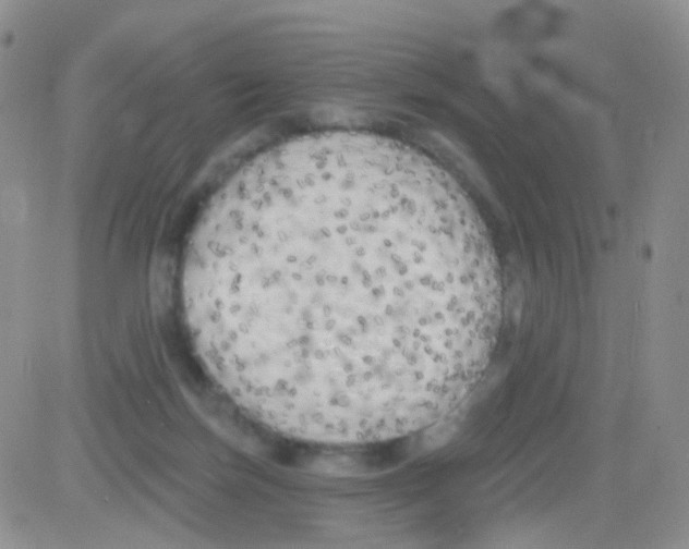 X0000082730171200702232356