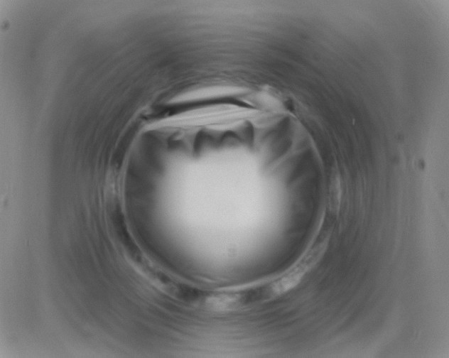 X0000082730172200702232356