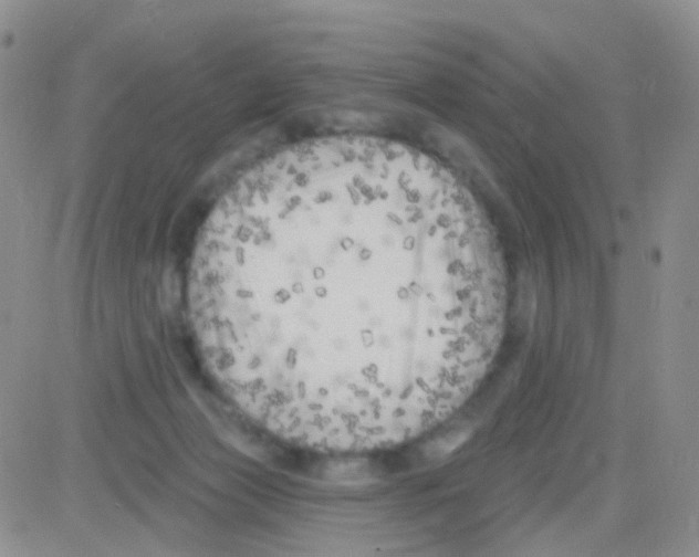 X0000082730173200702232356