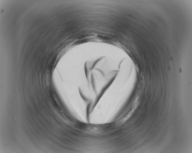 X0000082730174200702232356