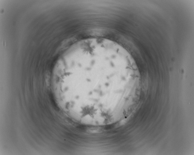 X0000082730175200702232356