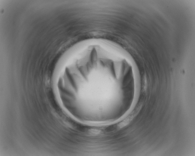 X0000082730176200702232356