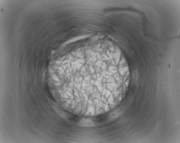 X0000082730177200702232356