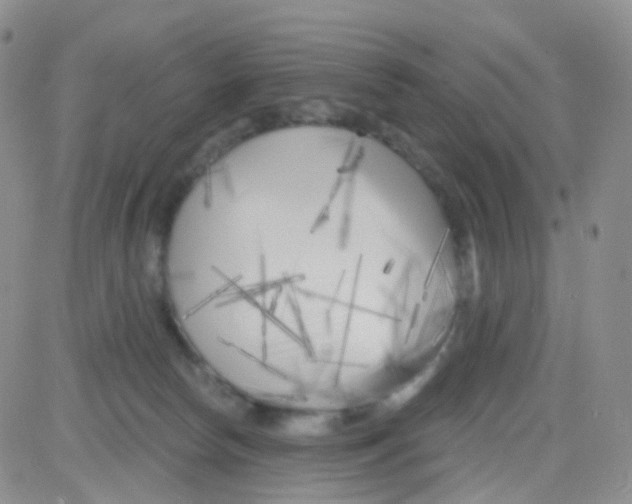 X0000082730178200702232356