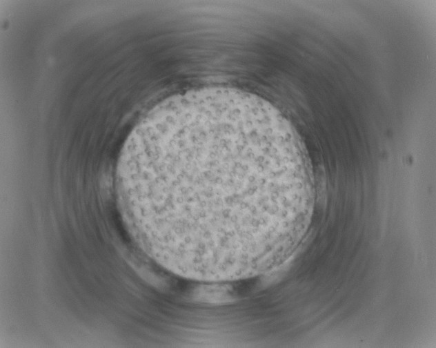 X0000082730179200702232356