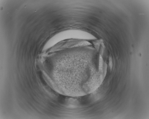 X0000082730180200702232356