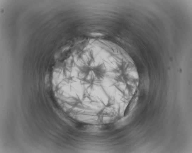 X0000082730182200702232356