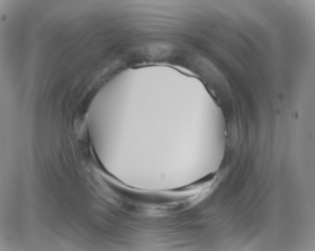 X0000082730184200702232356