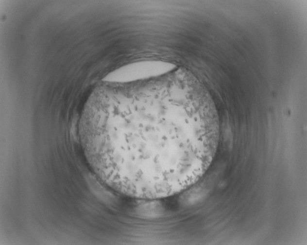 X0000082730185200702232356