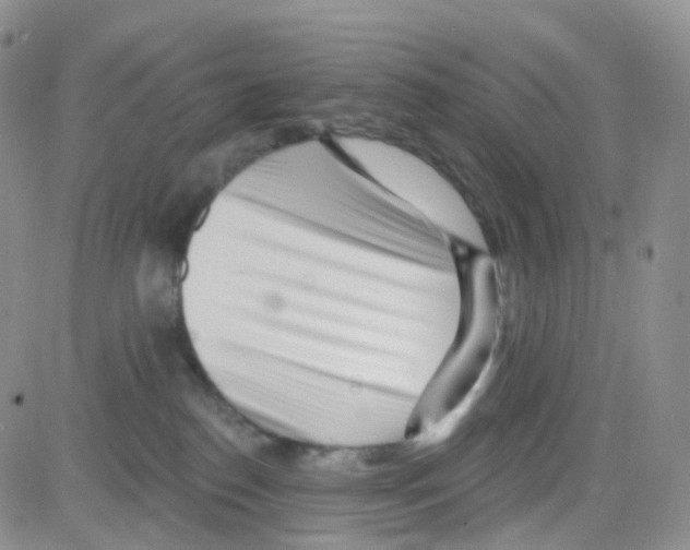 X0000082730186200702232356