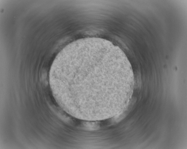 X0000082730187200702232356