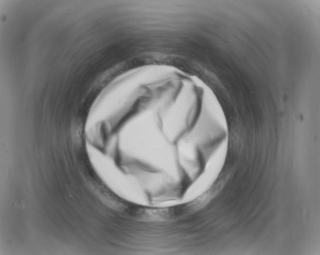 X0000082730188200702232356