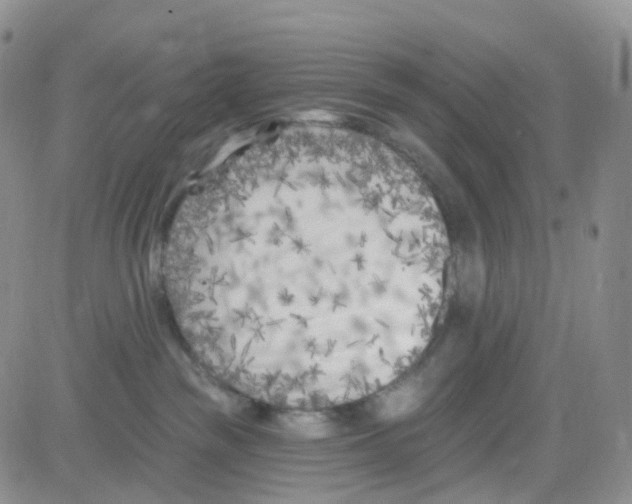 X0000082730189200702232356