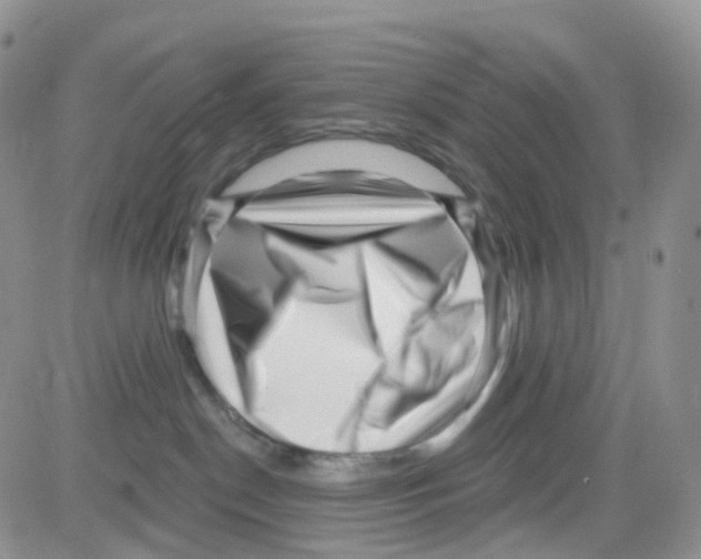 X0000082730190200702232356