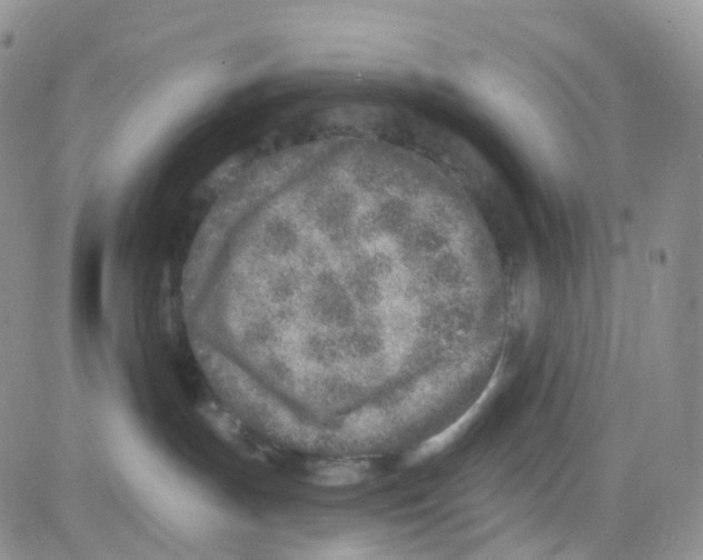 X0000082730191200702232356