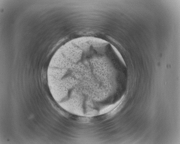 X0000082730192200702232356