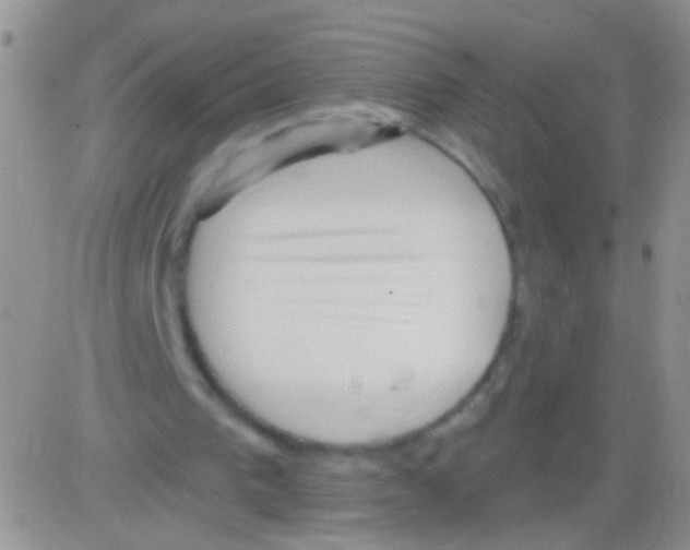 X0000082730193200702232356