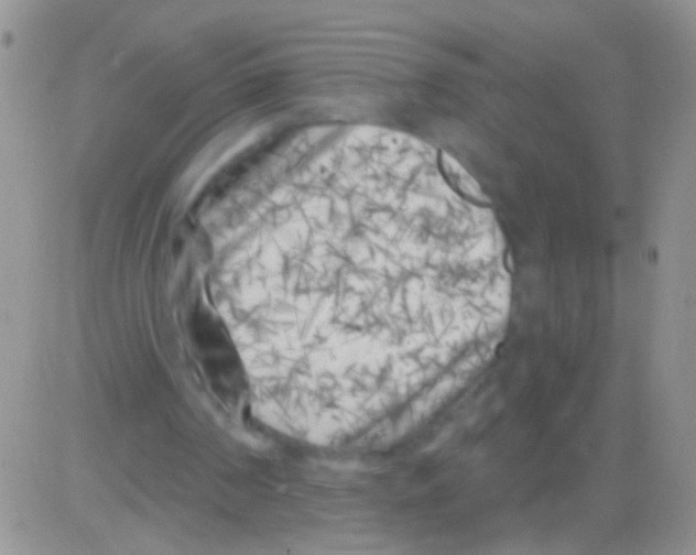 X0000082730194200702232356