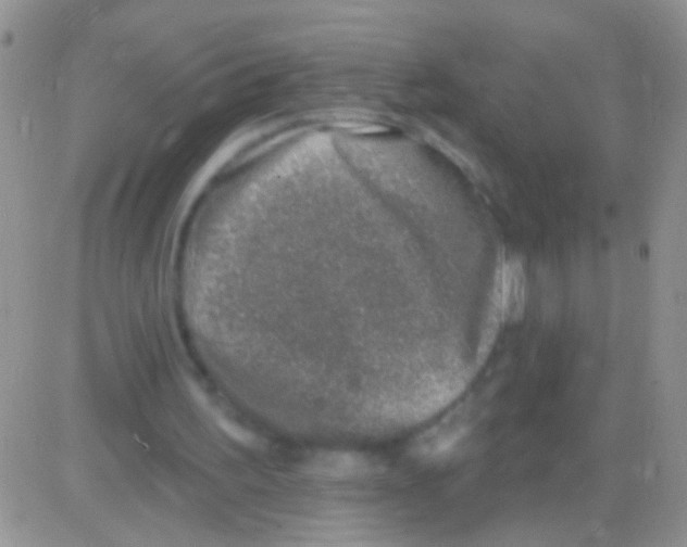 X0000082730195200702232356