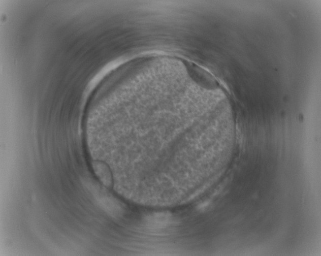 X0000082730196200702232356