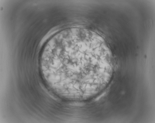 X0000082730198200702232356