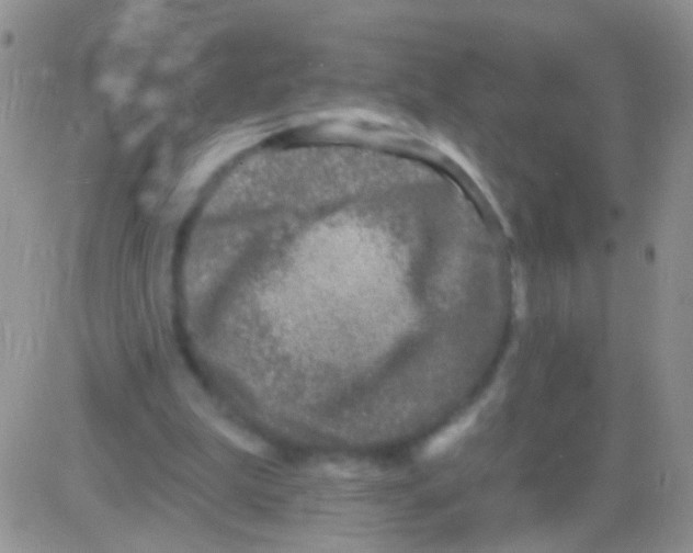 X0000082730199200702232356