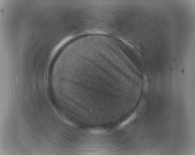 X0000082730200200702232356