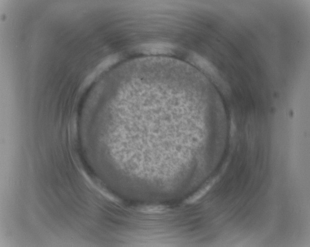 X0000082730202200702232355